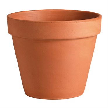 Deroma 1.89" Standard Clay Bundle Pot