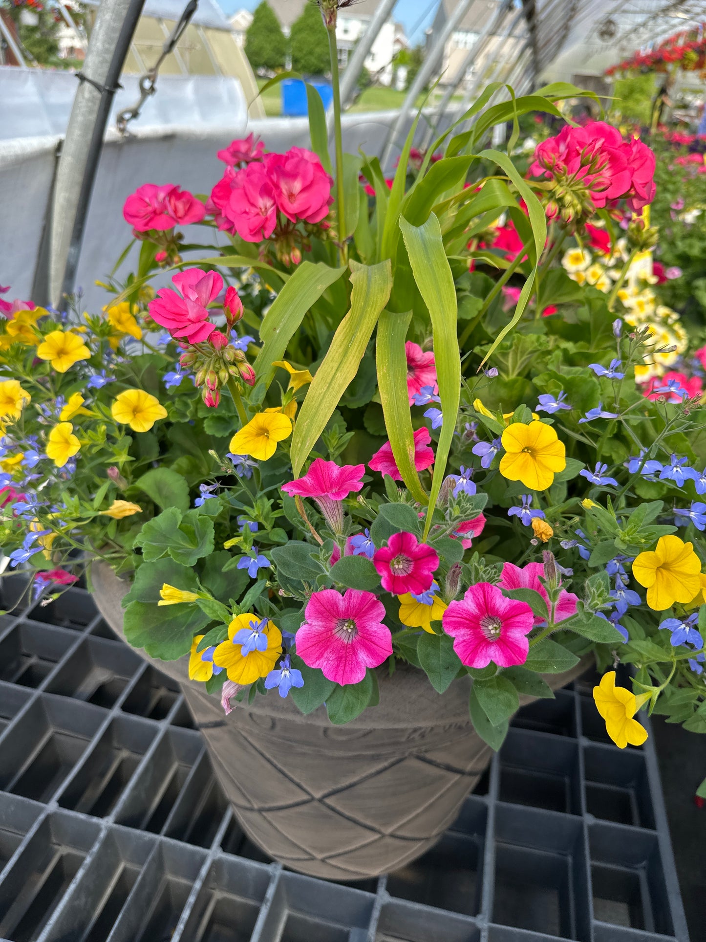 COMBO #6 - 16'' POT