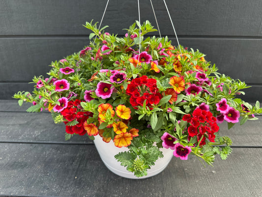 BASKET #45 - 12'' HANGING BASKET