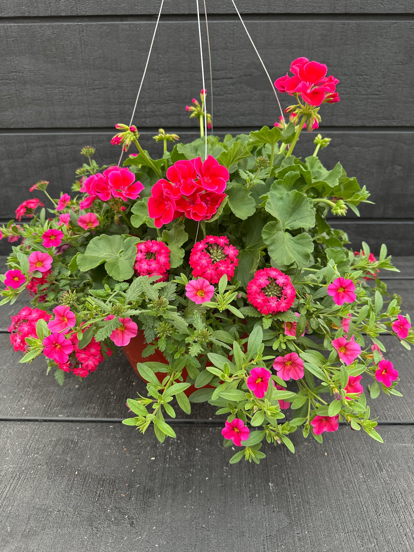 BASKET #11 - 12'' HANGING BASKET