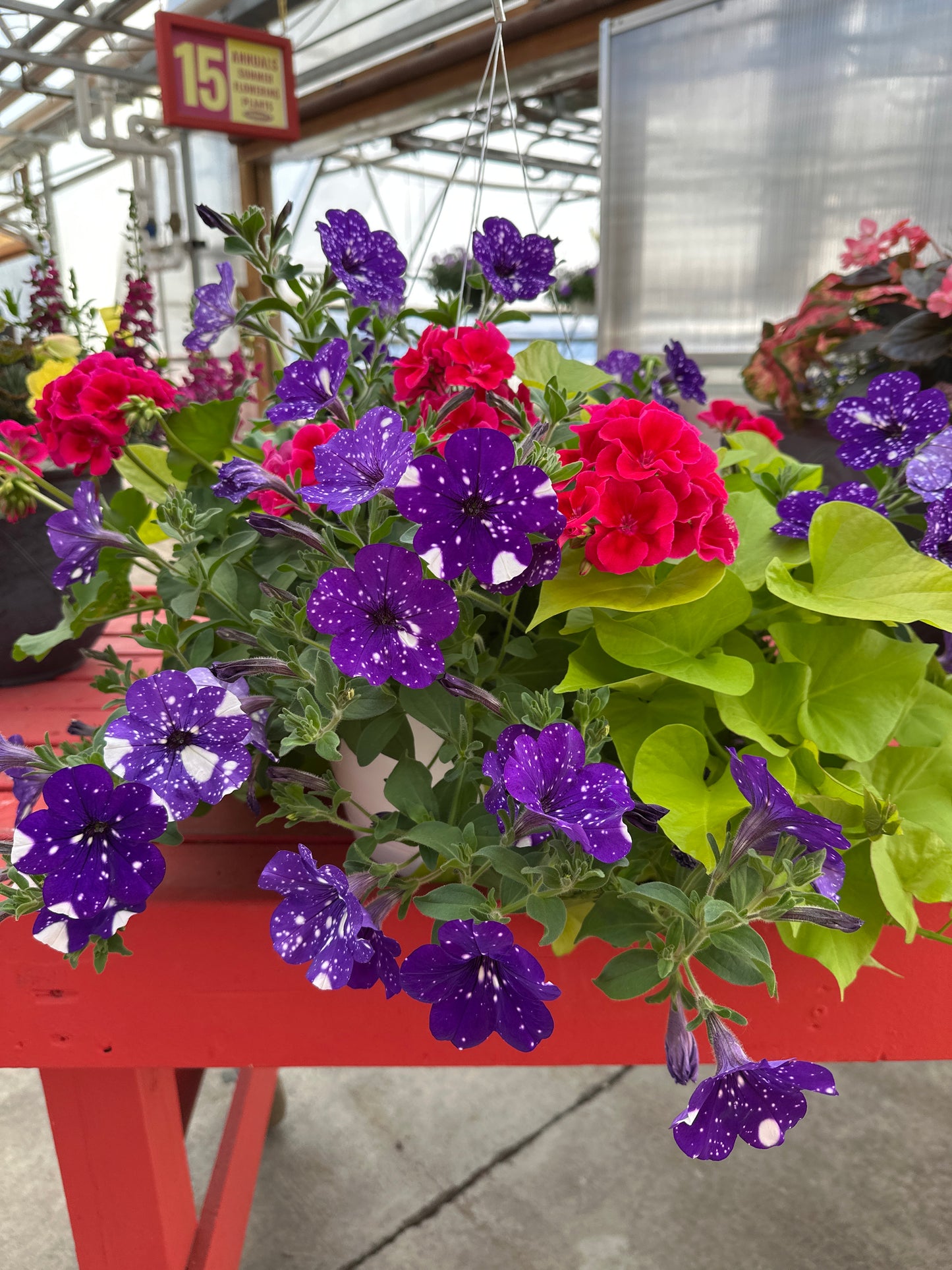 BASKET #103 - 12" HANGING BASKET