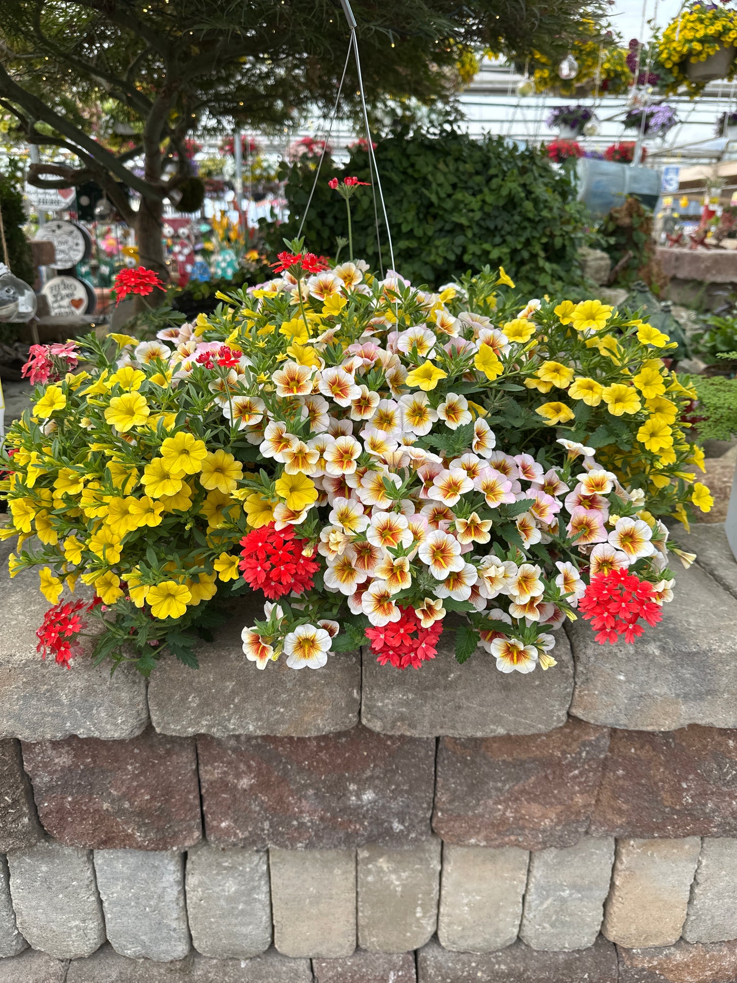 BASKET #30 - 10" HANGING BASKET
