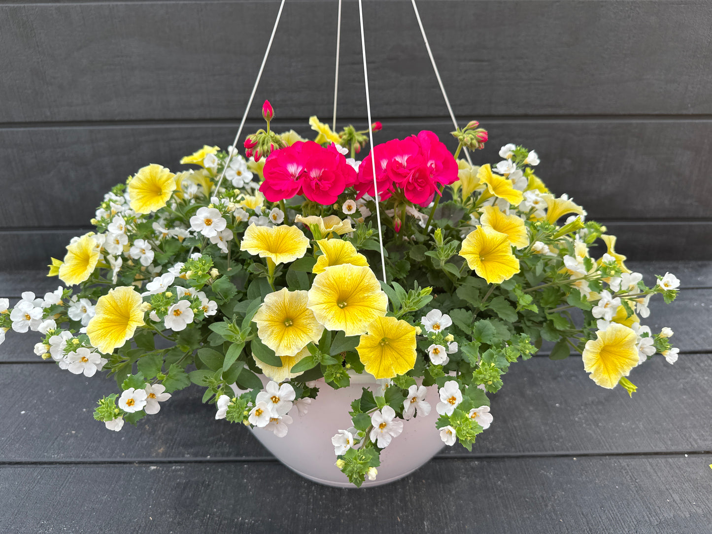 BASKET #4 - 14" HANGING BASKET