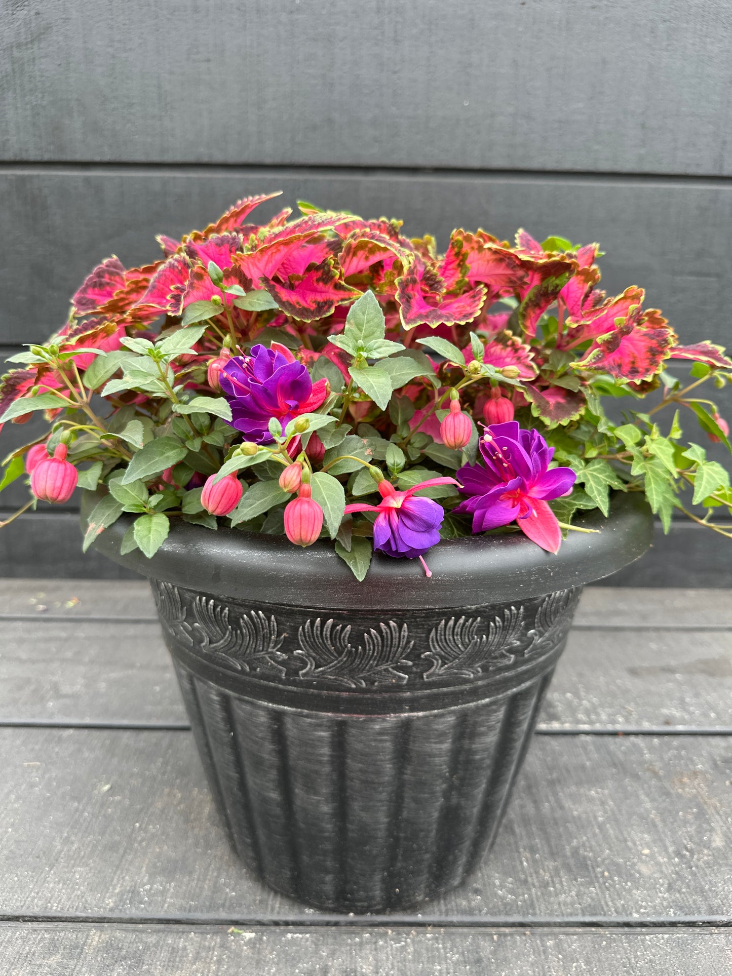 COMBO #62 - 12" POT