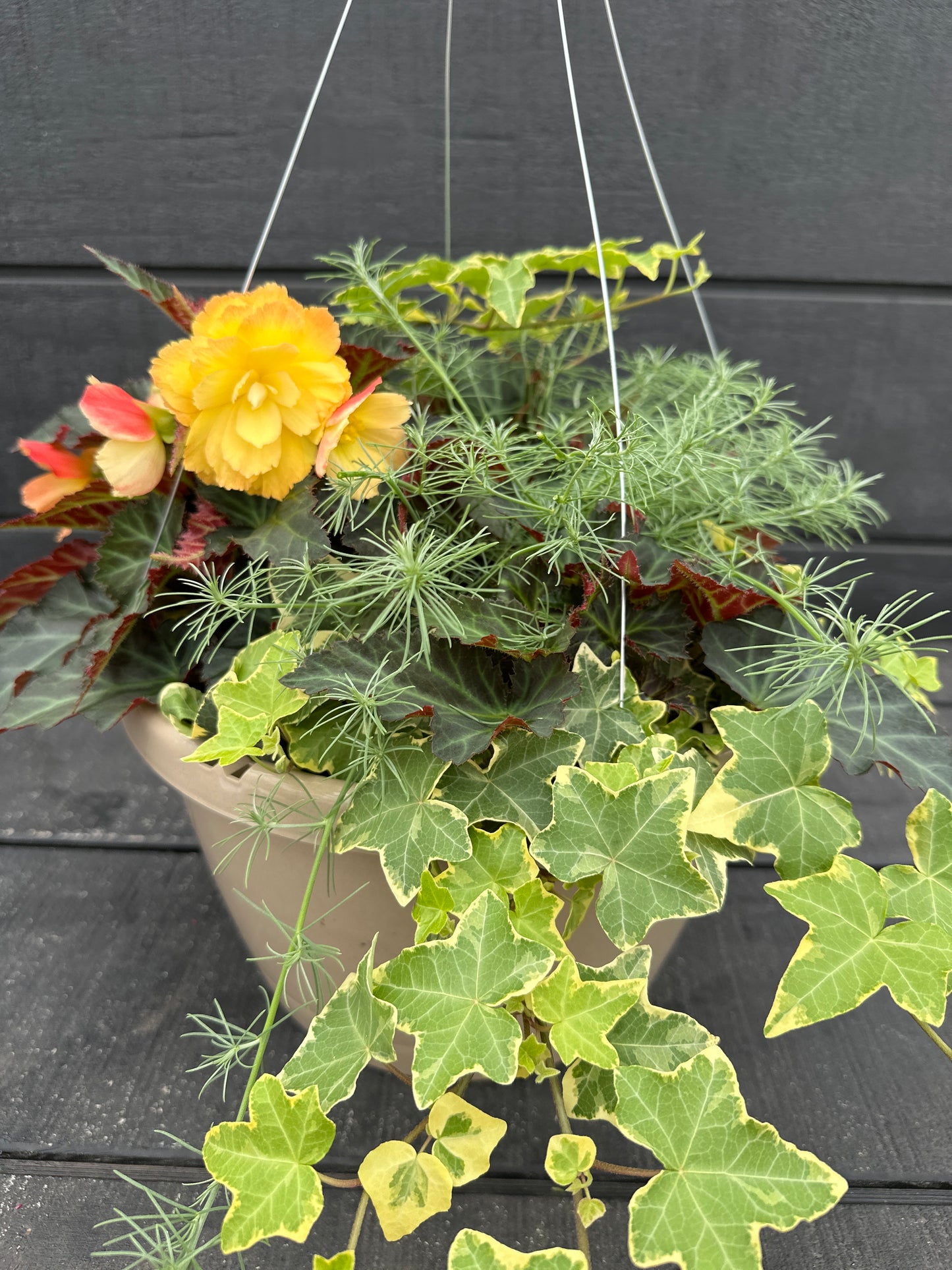 BASKET #6 - 12'' HANGING BASKET