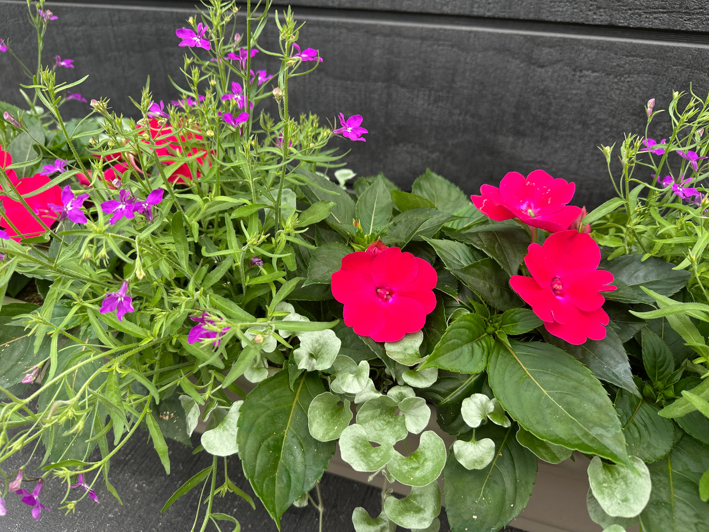 COMBO #8 - 30'' WINDOW BOX