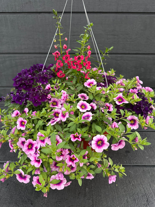 BASKET #82 - 12" HANGING BASKET