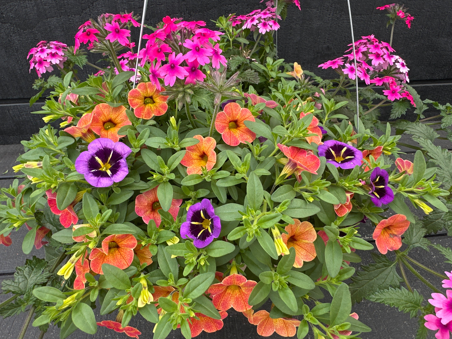BASKET #102 - 12" HANGING BASKET