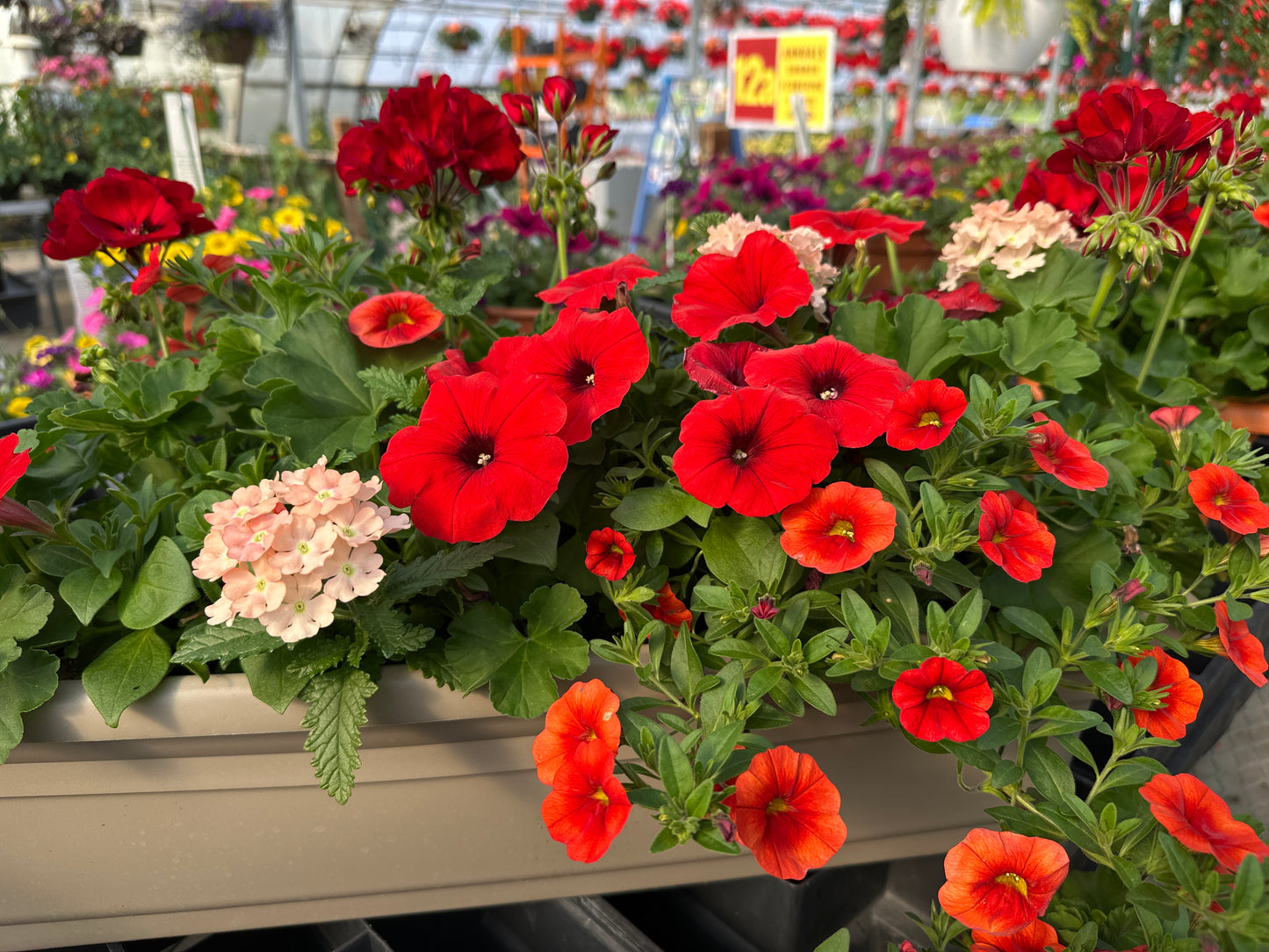 COMBO #28 - 24" WINDOW BOX