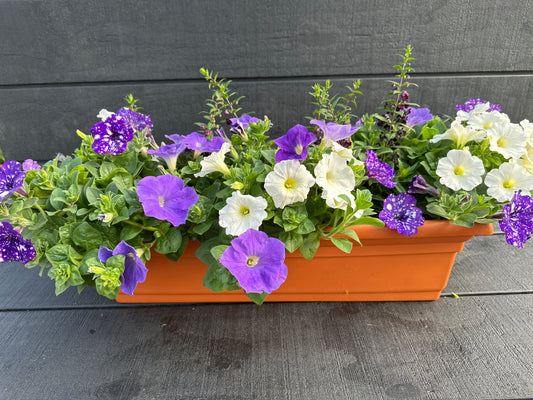 COMBO #24 - 24" WINDOW BOX