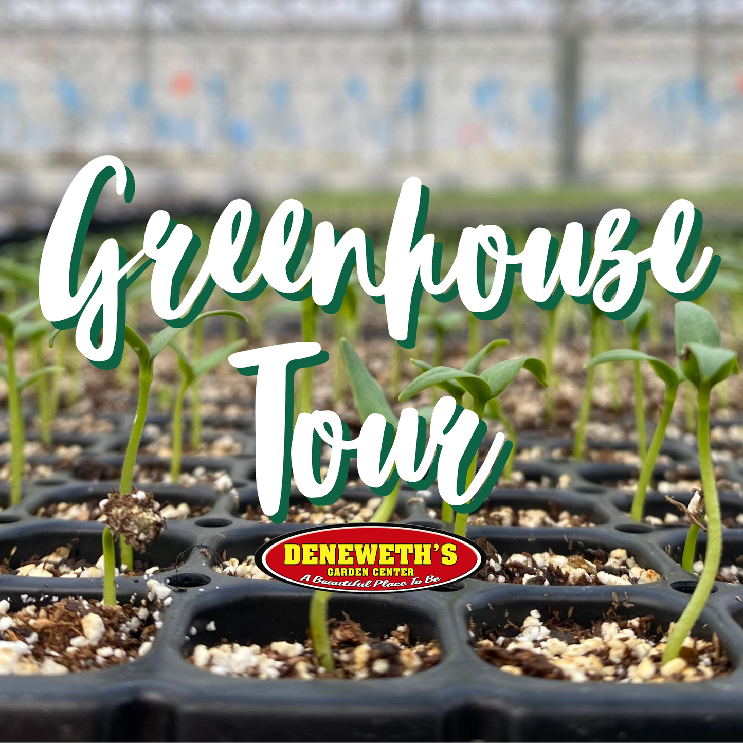 Greenhouse Tour
