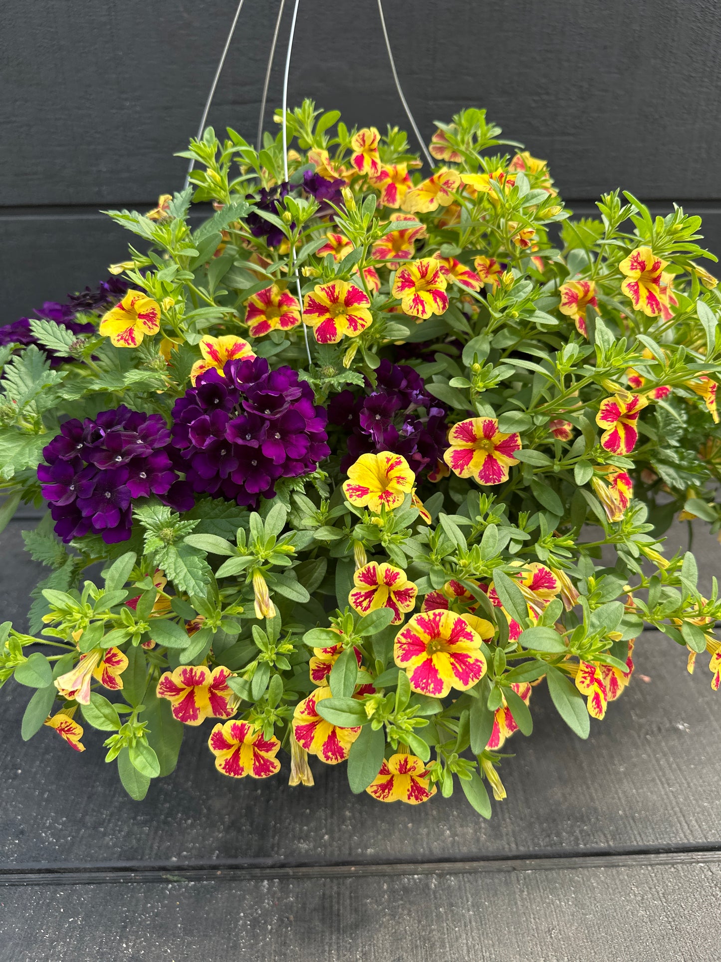 BASKET #82 - 12'' HANGING BASKET