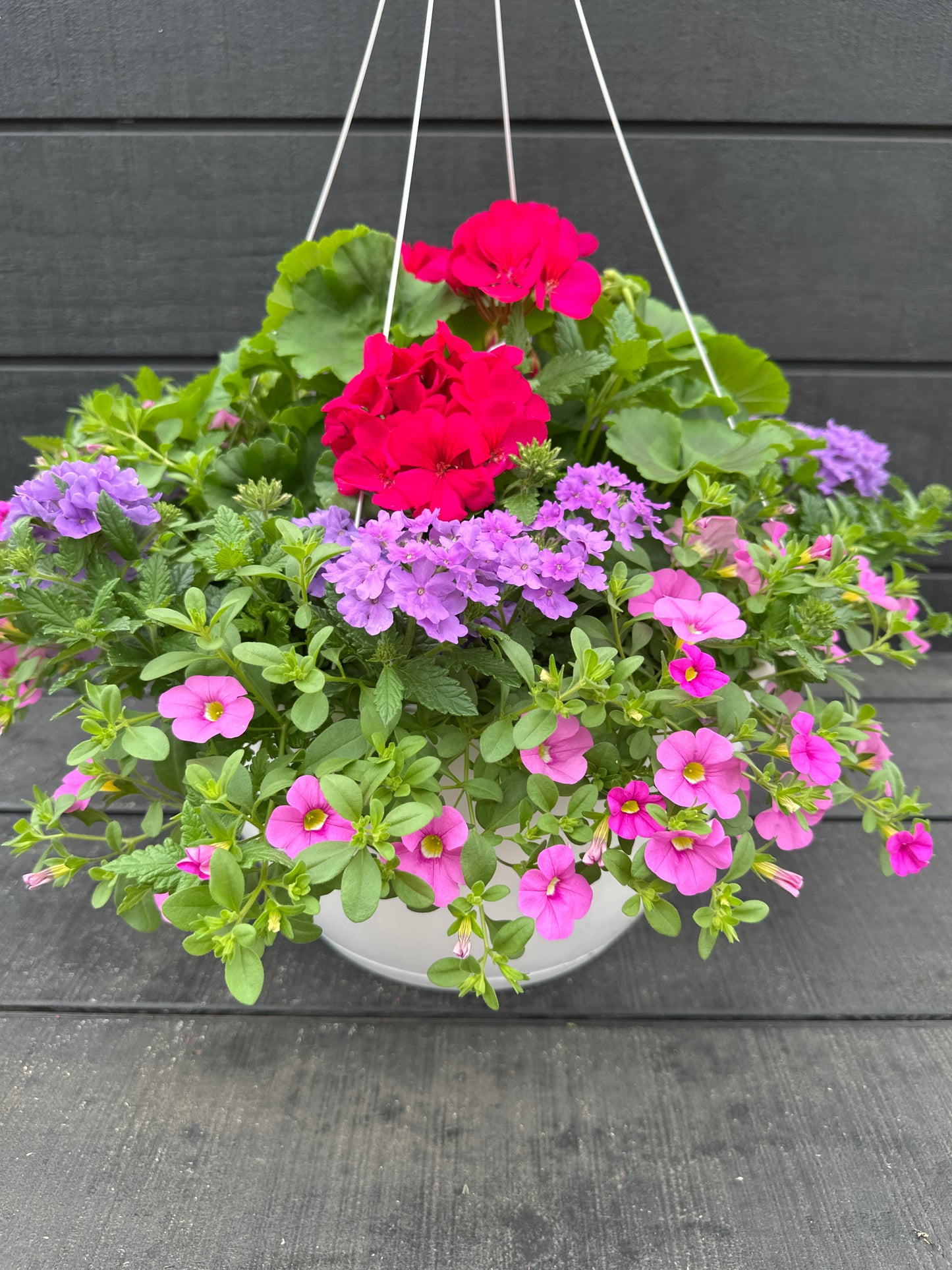 BASKET #6 - 14" HANGING BASKET
