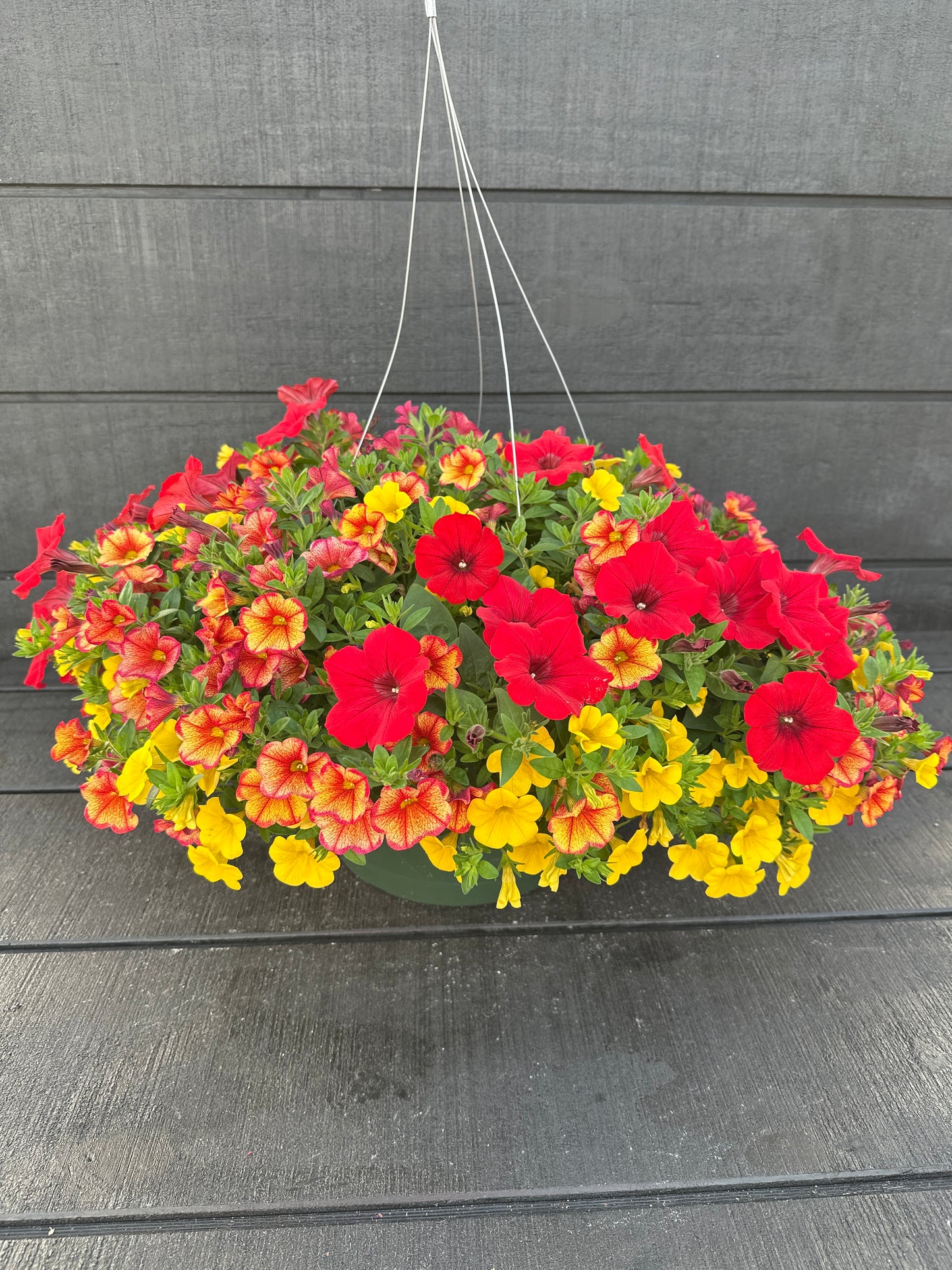 BASKET #84 - 12'' HANGING BASKET