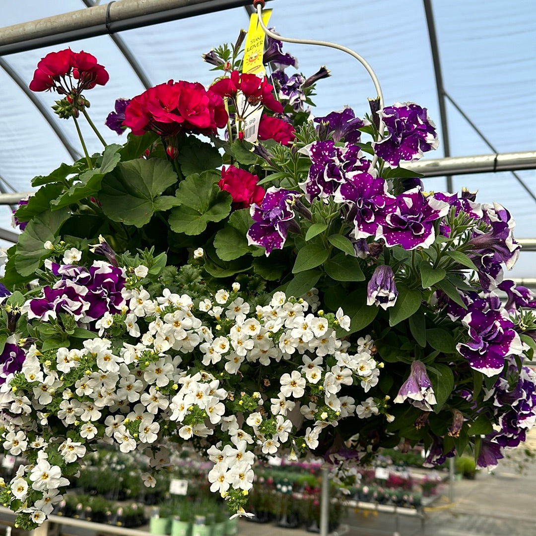 BASKET #68 - 12'' HANGING BASKET