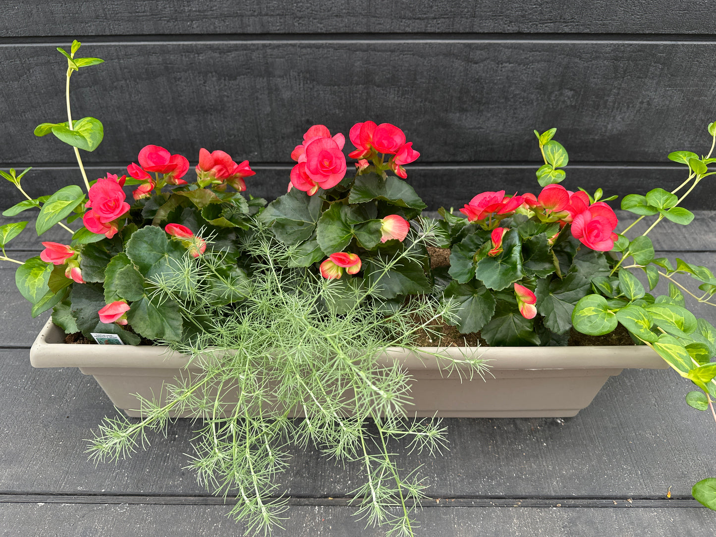 COMBO #32 - 24" WINDOW BOX