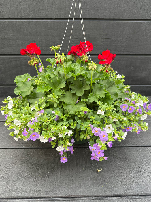 BASKET #86 - 12" HANGING BASKET