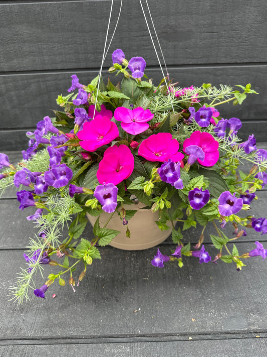 BASKET #39 - 12" HANGING BASKET
