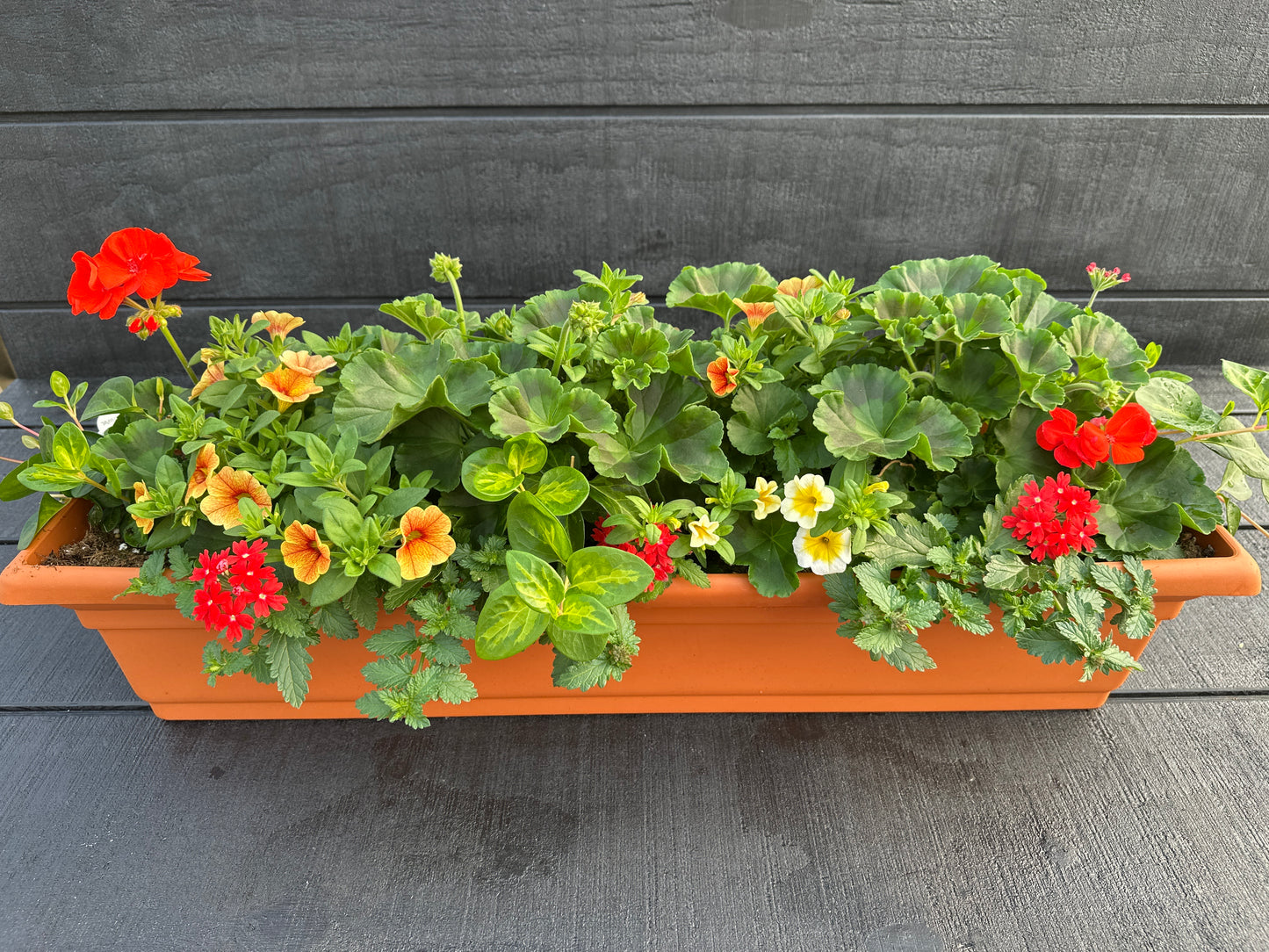COMBO #2 - 30" WINDOW BOX