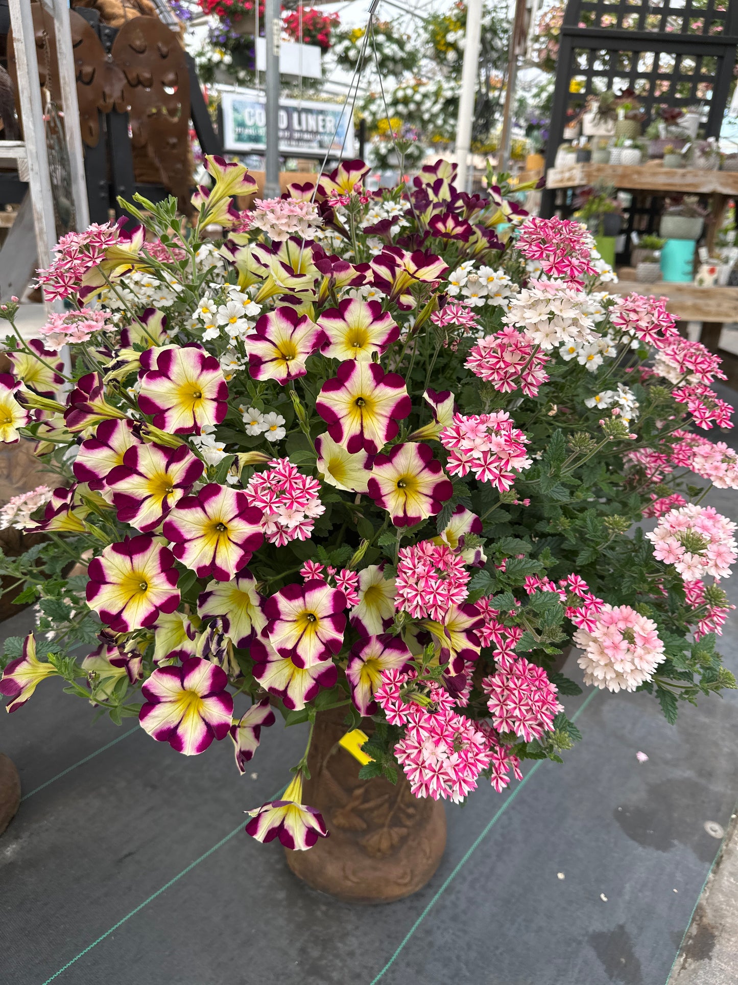 BASKET #42 - 10'' HANGING BASKET