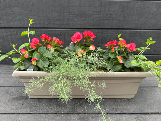 COMBO #32 - 24" WINDOW BOX