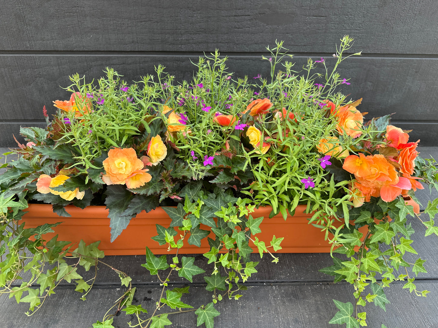 COMBO #13 - 30'' WINDOW BOX