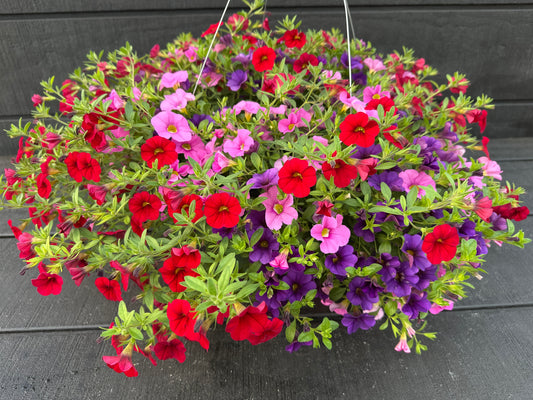 BASKET #8 - 12" HANGING BASKET