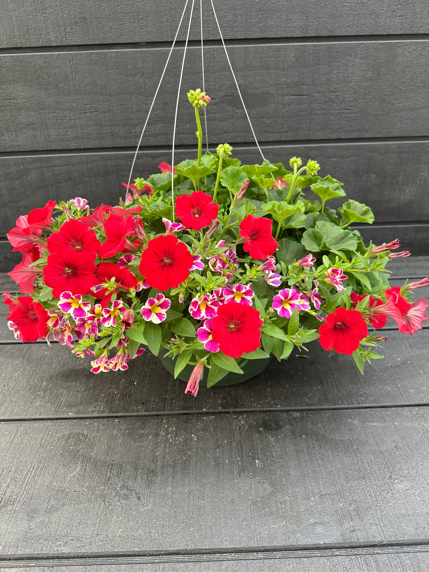 BASKET #27 - 12" HANGING BASKET
