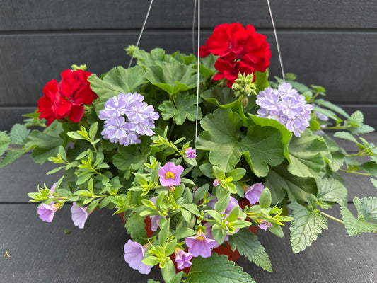 BASKET #93 - 12'' HANGING BASKET
