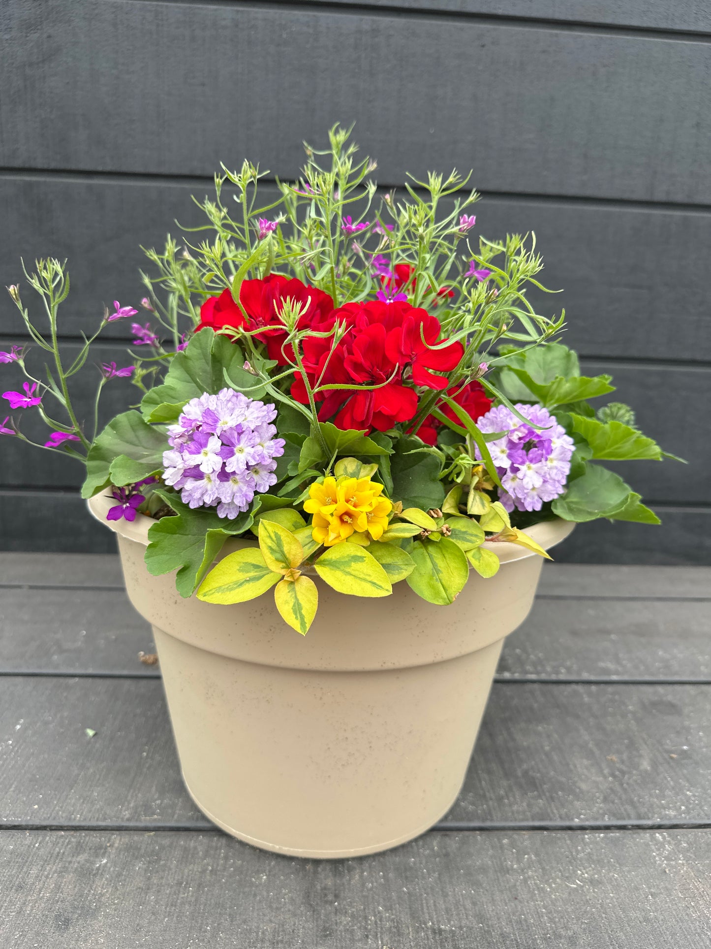 COMBO #20 - 12'' POT