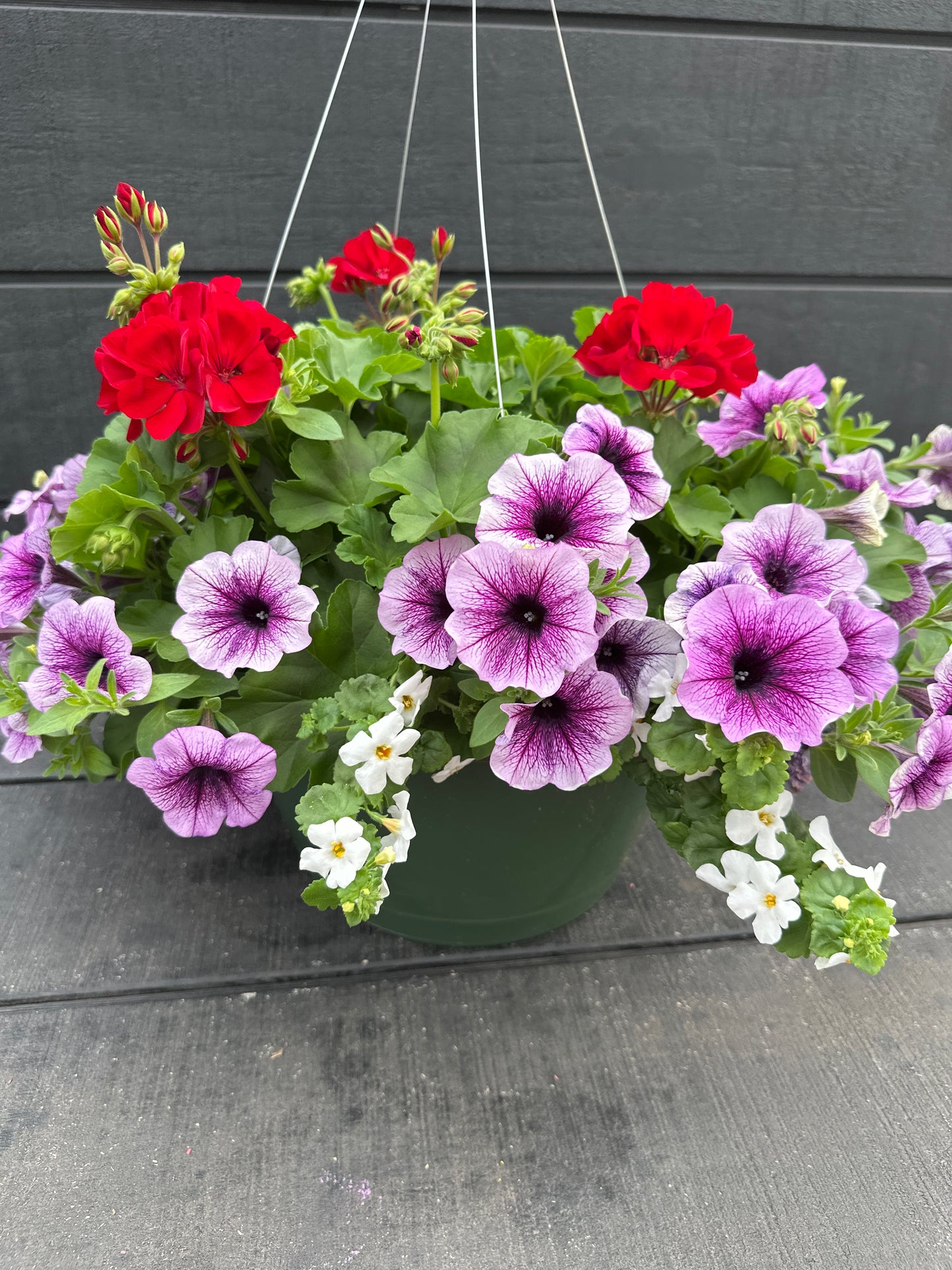 BASKET #30 - 12'' HANGING BASKET