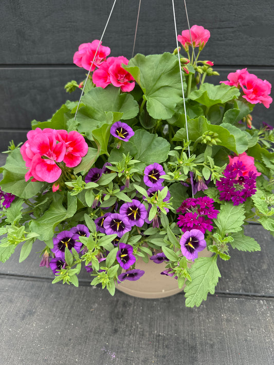 BASKET #28 - 12'' HANGING BASKET