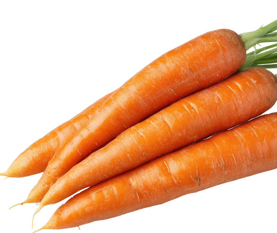 CARROT ORANGLEBLAZE - FLAT OF 32 PLANTS