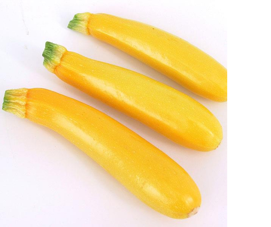 SQUASH GOLDY - FLAT OF 32 PLANTS