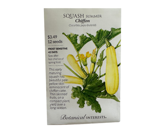 Squash Summer Chiffon hybrid