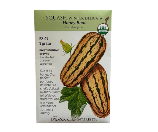 Squash Winter Delicata Honey Boat