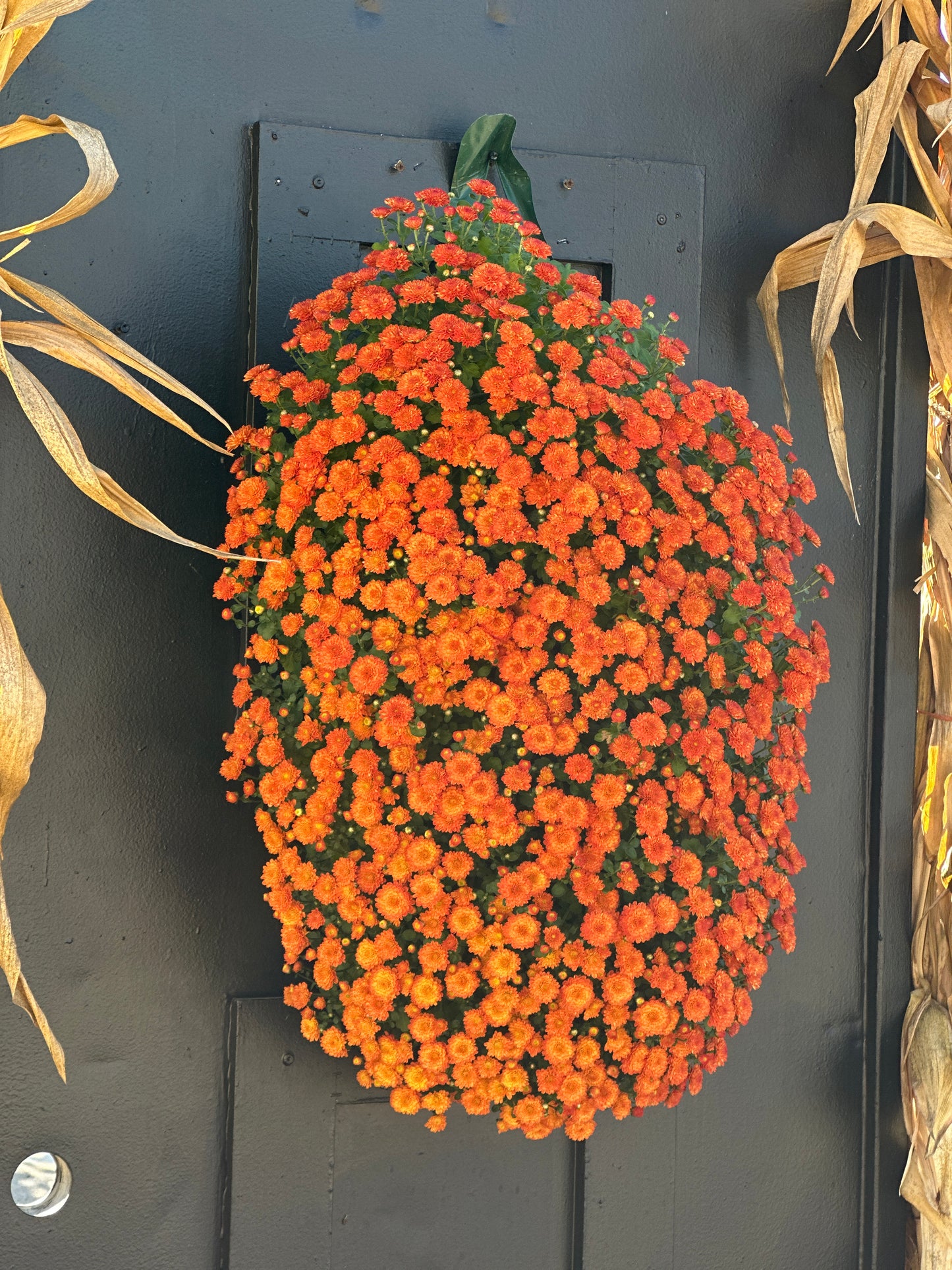GARDEN MUMS GIGI ORANGE - FLOWER BAG