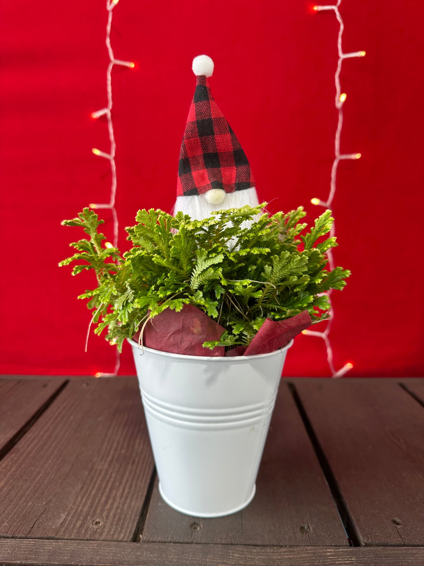 Frosty Fern Tin Pot 5" Deco Pot (Xmas)
