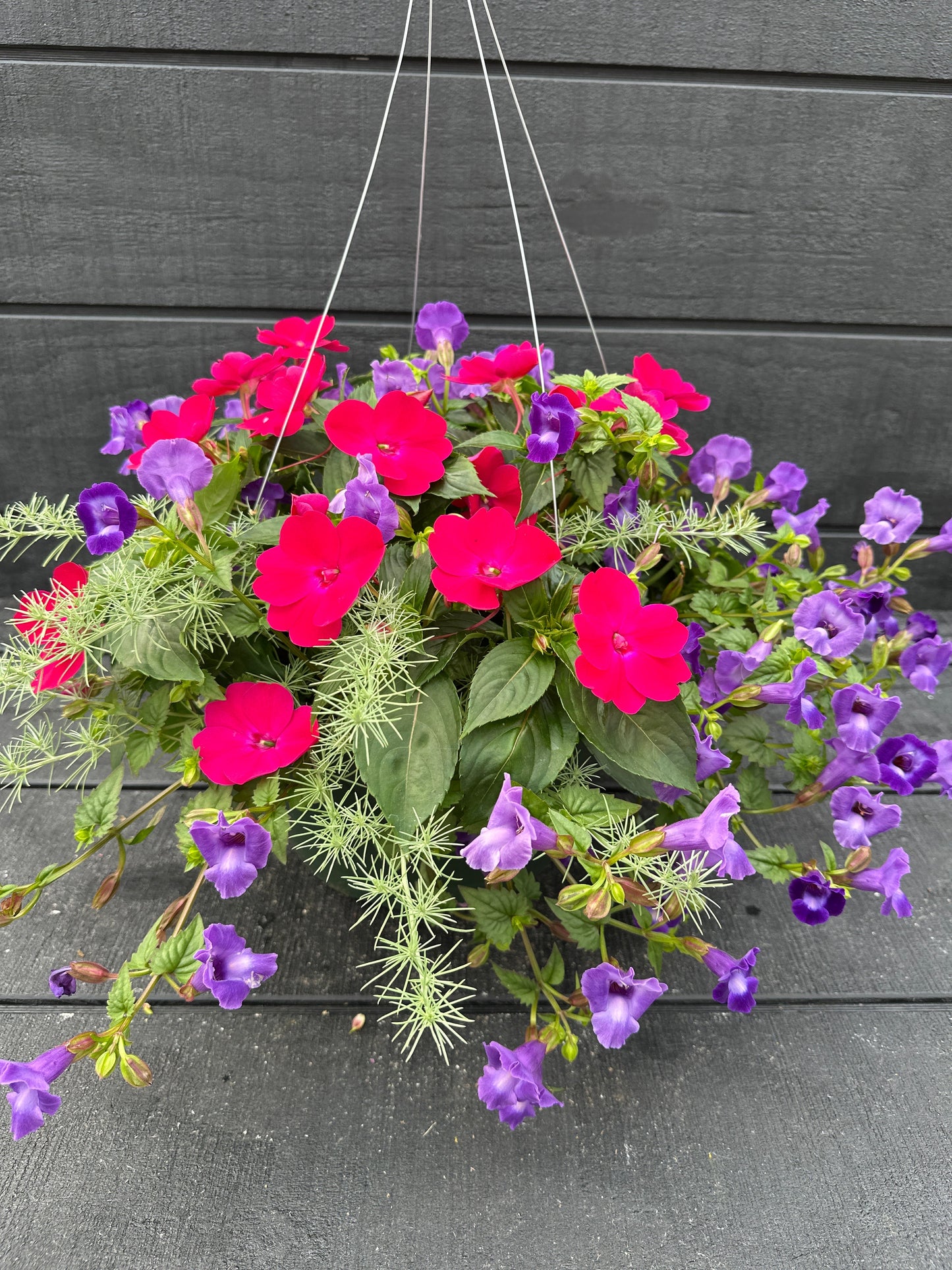 BASKET #40 - 12'' HANGING BASKET