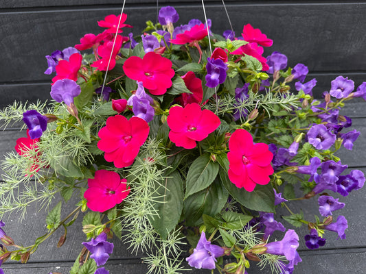 BASKET #40 - 12'' HANGING BASKET