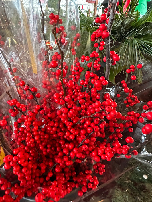 Short Winterberry Ilex Bundle (Xmas)