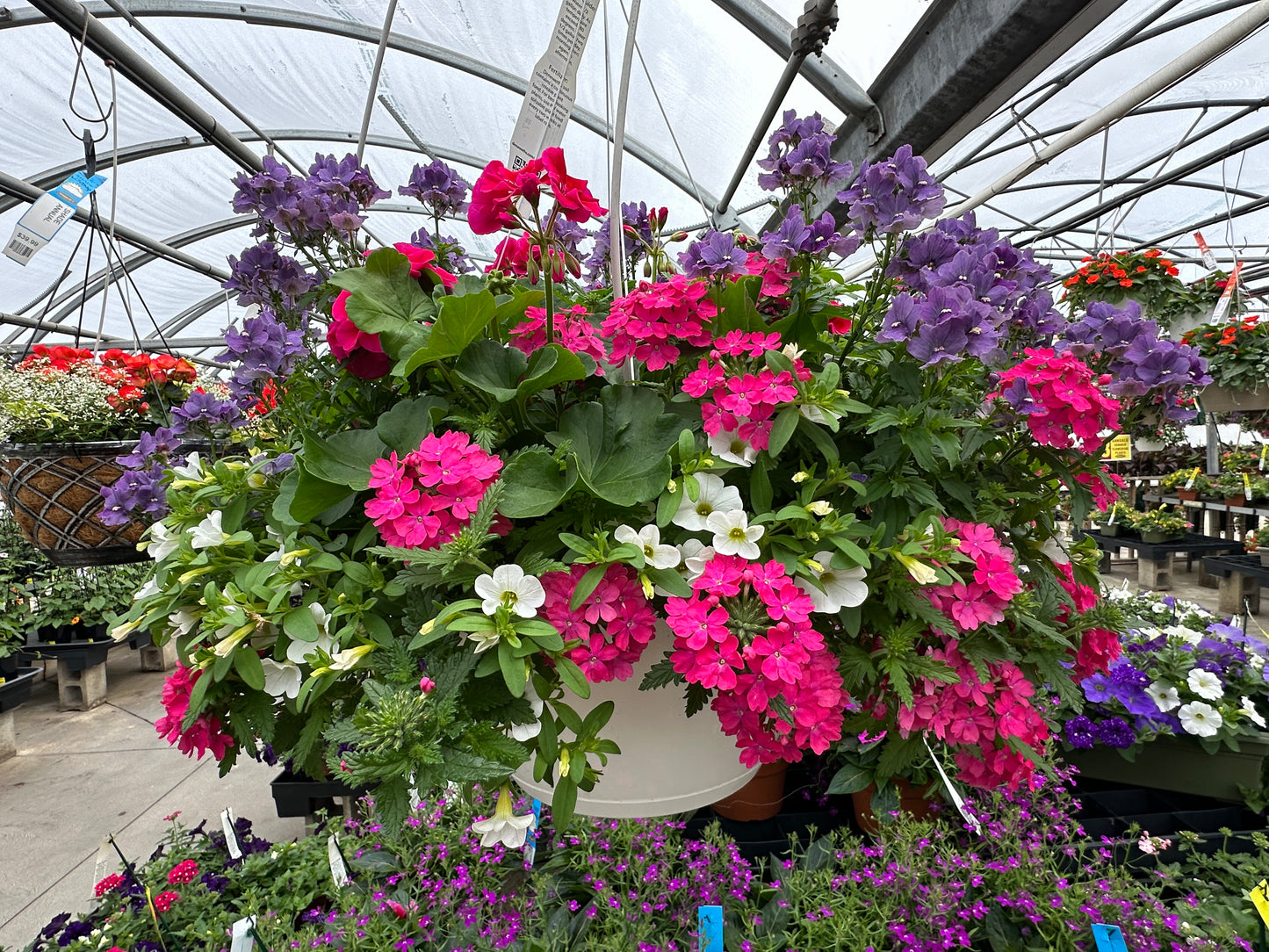 BASKET #7 - 14" HANGING BASKET