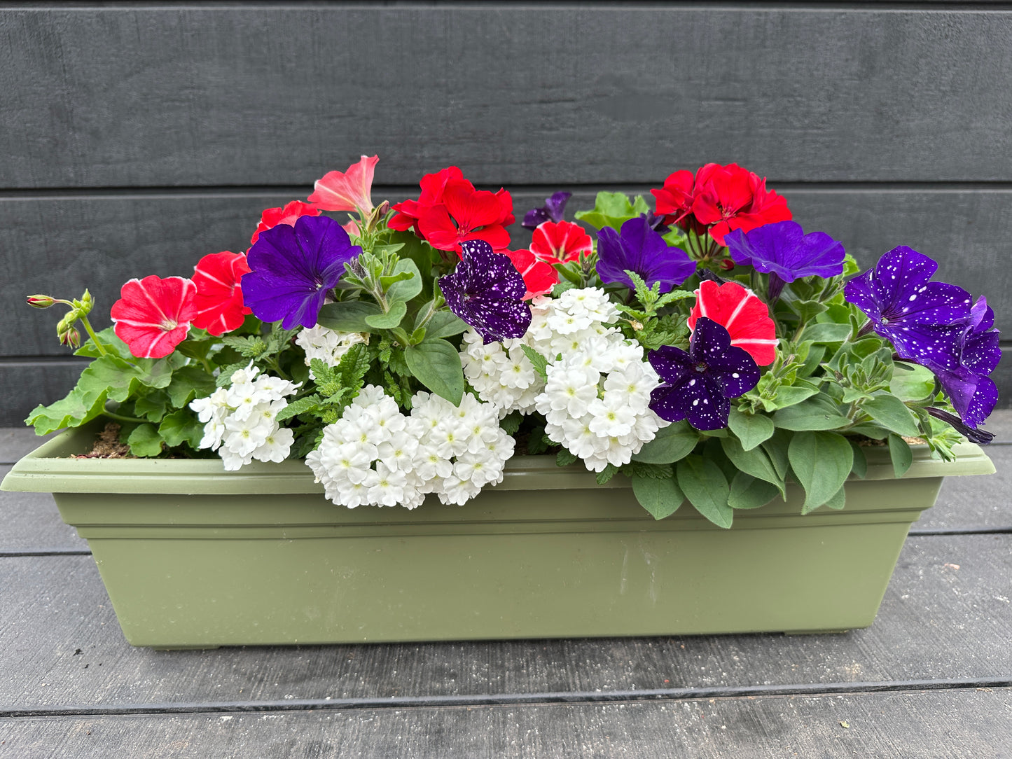 COMBO #8 - 24'' WINDOW BOX