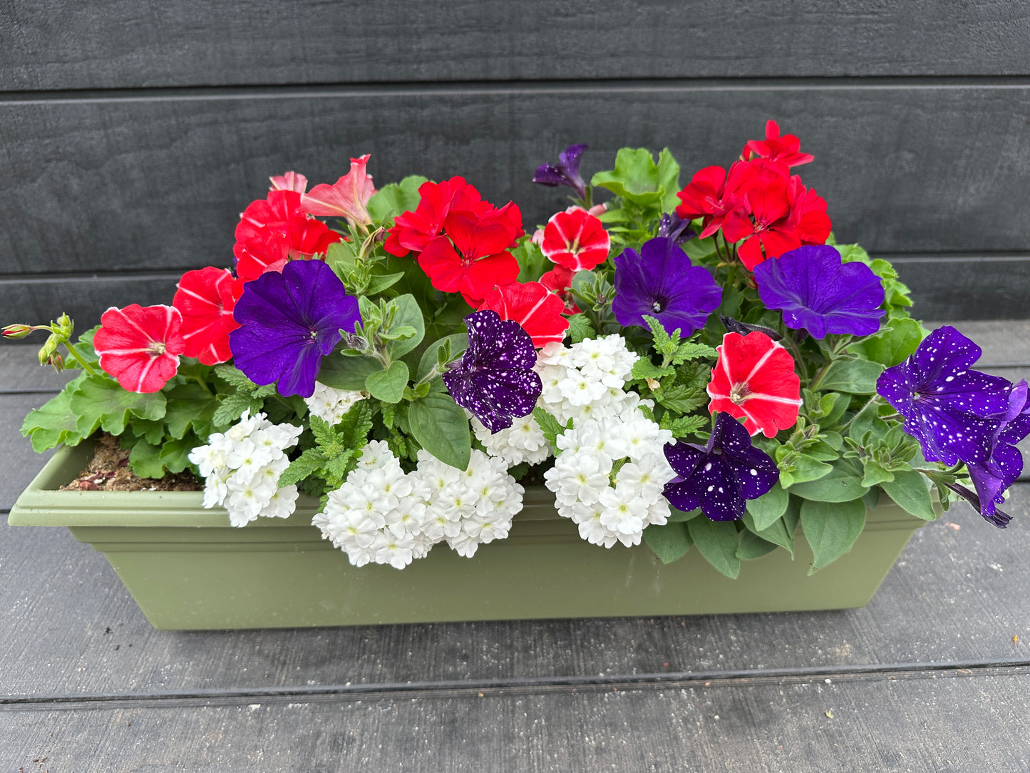 COMBO #8 - 24'' WINDOW BOX
