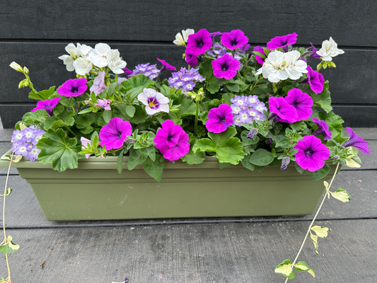 COMBO #35 - 24" WINDOW BOX