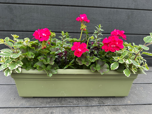COMBO #29 - 24'' WINDOW BOX