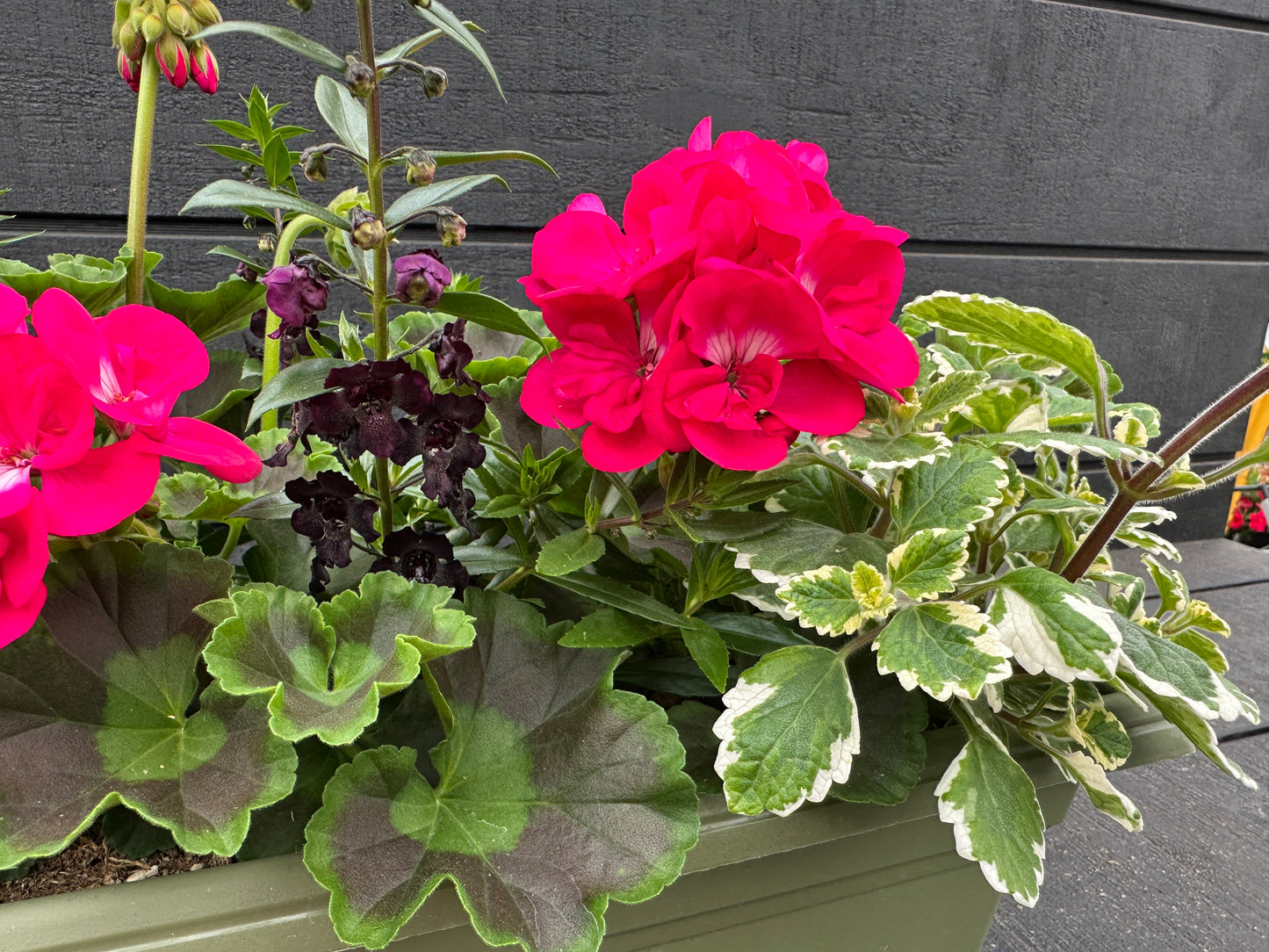 COMBO #29 - 24'' WINDOW BOX