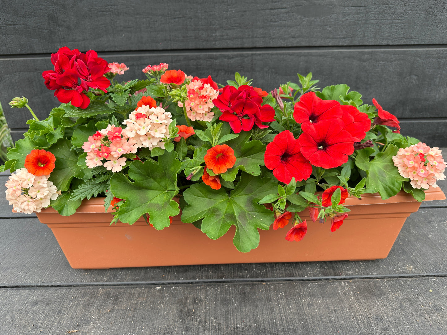 COMBO #28 - 24'' WINDOW BOX