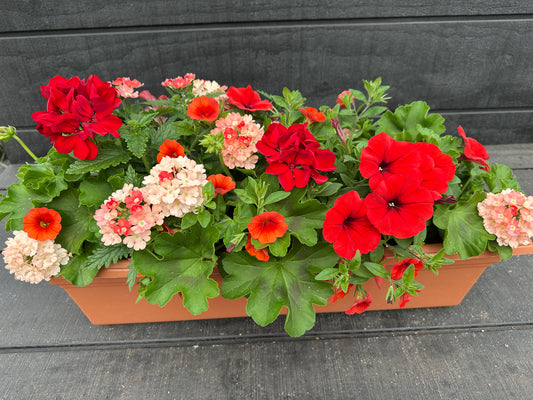 COMBO #28 - 24'' WINDOW BOX