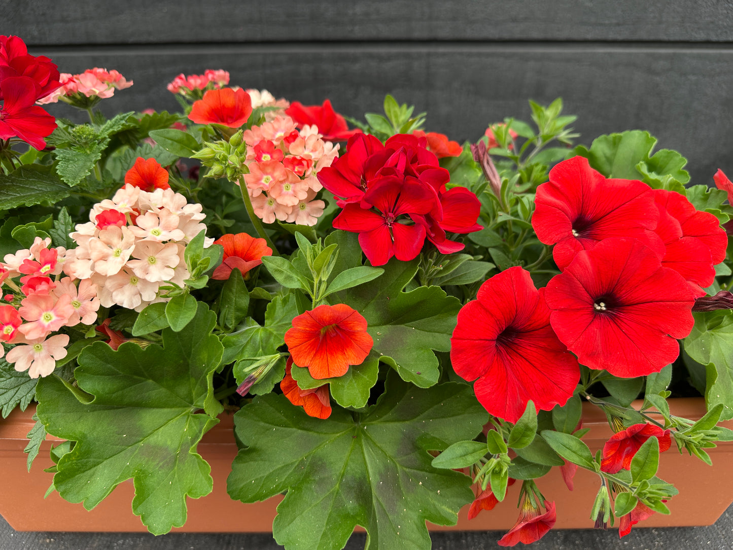 COMBO #28 - 24'' WINDOW BOX